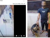 ضبط شخص يروع المواطنين بكلب وسلاح أبيض فى الجيزة  