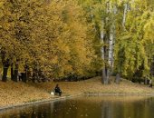 العالم هذا المساء.. الأشجار الذهبية تخطف الأنظار.. فصل الخريف يزين حدائق روسيا.. سجين يتوعد ساركوزى فى ليلته الأولى بالسجن.. ترامب يشعل شمعة ديوالى فى البيت الأبيض ضمن احتفالات مهرجان الأضواء.. صور وفيديو