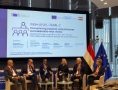 وزير الاستثمار والتجارة الخارجية يشارك فى الجلسة الثانية رفيعة المستوى حول "تعزيز القدرة التنافسية الصناعية وسلاسل القيمة المستدامة" ضمن فعاليات القمة المصرية الأوروبية في بروكسل