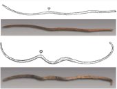 علماء يكشفون عن أخطر سلاح فى العصر البرونزى.. عرف فى مصر  منذ آلاف السنين
