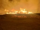 السيطرة على حريق الغابة الشجرية غرب الغردقة دون إصابات