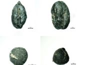 بذور القمح والشعير تكشف عن طقوس الدفن فى العصر البرونزى المبكر بتركيا