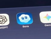 تحديث قادم على Sora يمكنك من إنشاء مقاطع فيديو لحيوانك الأليف