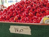 أسعار الخضروات والفاكهة بجنوب سيناء اليوم الجمعة 24 أكتوبر 2025.. فيديو