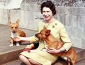 نيمو وسومو وباتون رفقاء قصور الرئاسة حول العالم.. أشهر كلاب اقتناها الرؤساء