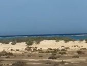 الطريق نحو الجنوب البديع.. من سفاجا إلى حلايب عبر أطول سواحل مصر وأجمل محمياتها.. المانجروف تعانق الأمواج.. محمية وادى الجمال تكشف أسرار الحياة البرية.. القلعان وحماطة تفتحان أبواب الهدوء وصولا إلى جبل علبة