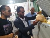 تشكيل لجنة ثلاثية لإعدام لحوم فاسدة داخل مطاعم شهيرة بأسوان.. صور