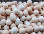 سعر طبق البيض بالقليوبية الأربعاء 3-12-2025.. الأبيض بـ 118 جنيها