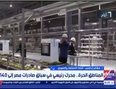 خبير: الحكومة تسعى لزيادة المناطق الحرة وحجم الاستثمارات