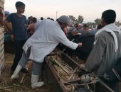 انطلاق حملة التحصين ضد الحمى القلاعية والوادي المتصدع بالإسماعيلية