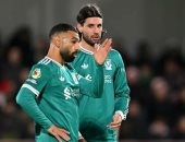 ملخص وأهداف مباراة برينتفورد ضد ليفربول في الدوري الإنجليزي