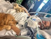 كلب يوقظ امرأة من غيبوبة فى مستشفى يستخدم الحيوانات للعلاج بولاية فلوريدا
