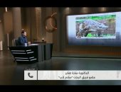 سارة صابر: التمساح المكتشف من أقدم العائلات ويحمل صفات تطورية