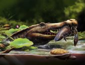 وزير التعليم العالى يهنئ جامعة المنصورة على اكتشاف نوع تماسيح عاش بمصر قبل 80 مليون عام