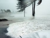 باحثون يستخدمون الذكاء الاصطناعى للتنبؤ بعواصف المد والجزر بشكل أسرع وأكثر دقة