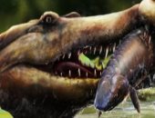 عاش 80 مليون سنة فى مصر.. تفاصيل اكتشاف نوع جديد من التماسيح القديمة