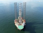 ينادوننى الماما المجنونة.. أسترالية تعيش وسط 250 دمية أسعدوها أكثر من البشر