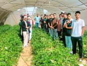 استكمال فعاليات اليوم التدريبى الثانى من دورة مطبقى المبيدات بالإسماعيلية