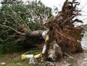 ارتفاع ضحايا إعصار ميليسا إلى 50 قتيلًا.. الكاريبى يغرق فى الدمار والعزلة.. فيديو