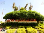 يوم على الحدث الأضخم.. مسارات المتحف المصرى تتزين لاستقبال زواره.. صور