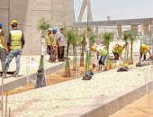 قيمة تاريخية كبيرة.. "بردى الشرقية" يزهر فى قلب المتحف المصرى الكبير.. صور