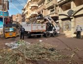 رفع 200 طن مخلفات من شوارع دسوق ورش وتطهير الميدان عقب انتهاء مولد الدسوقى
