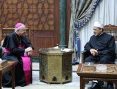 أحمد الطيب: الأزهر والفاتيكان يقدمان نموذجا للحوار الديني الراسخ في خدمة السلام
