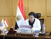 الصحة: 11 ألف مشروع متناهي الصغر واستفادة 20 مليون امرأة من التمكين الرقمي