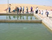 بأفكار غير تقليدية وخطة لترشيد المياه.. الوادى الجديد تحول رمال الكثبان المتحركة إلى مروج خضراء ومزارع منتجة.. المحافظ: طرح مبادرة تشجيعية لاستغلال زراعة الكثبان الرملية بقيمة إيجارية مخفضة.. صور