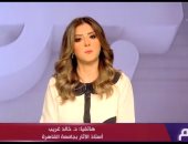 خالد غريب: عودة التمثال تعكس قوة الخارجية المصرية وقدرتها على إدارة الأزمات