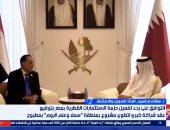 خبير: نشهد تفعيل الفرص الاستثمارية القطرية فى مصر