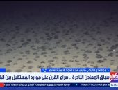 أبو الهدى الصيرفى: الصين تمتلك أكبر نصيب من الاحتياطى العالمى للمعادن النادرة