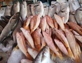 البلطى بكام؟ .. أسعار السمك اليوم الأربعاء 3-12-2025 فى القليوبية