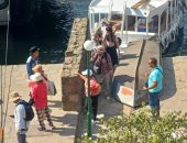 طقس مشمس فى أسوان والسياح فى كل مكان.. فيديو وصور