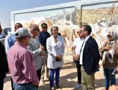 محافظ الأقصر والسفير الفرنسى يتفقدان مشروع تجميل نجع الملقطة بالقرنة