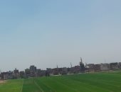 طقس الشرقية اليوم الثلاثاء 4 نوفمبر خريفى مائل للحرارة نهارا 