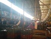 تعرف على 5 أماكن لبيع الأسماك بأسعار مخفضة فى كفر الشيخ