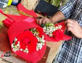 صورة اليوم.. الورد رسول العشاق وسمير المشتاق فى عيد الحب المصرى