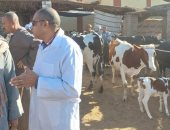 الثروة الحيوانية بالأقصر فى أمان.. حملات لتحصين 109 آلاف رأس ماشية