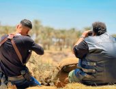 طرح فيلم صقر وكناريا بطولة محمد إمام وشيكو فى عيد الفطر 2026