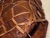 مقتنيات المتحف الكبير.. خبز عمره 4 آلاف عام مازال متماسكا