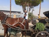 محافظ الأقصر يتابع الإلتزام بالنظافة وطريق المسار السياحي بمدن الأقصر والقرنة.. صور