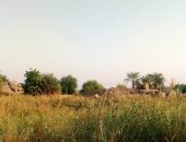 حل جذرى لمشكلة طفح الصرف بالكرور فى أسوان.. اعرف التفاصيل