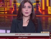 محافظ أسوان: 190 لجنة فرعية جاهزة لاستقبال الناخبين فى العرس الديمقراطى