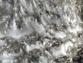 اكتشاف أكبر شبكة عنكبوت فى العالم تضم أكثر من 111 ألف عنكبوت