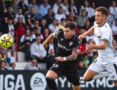 وفاة مشجع بالمدرجات وإلغاء المباراة فى الدوري الإسباني