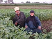 من قلب الغيطان.. نجاة فلاحة مصرية تحيي تراث الغناء الشعبى بصوت أصيل.. نبراتها تعيد للأذهان زمن الفن الجميل.. 36 عاما من الكفاح والحب مع زوجها تحت شمس الحقول لتربية أبنائهما.. تتمنى زيارة بيت الله الحرام.. فيديو