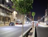 جدل حول قطع أشجار طريق الحرية.. الإزالة تثير استياء أهالى الإسكندرية ويطالبون بالحفاظ على المظهر الجمالى.. والمحافظة ترد: النخيل يعترض مسار التوسعة وبعضها مصاب بالسوس.. ونحترم مشاعر المواطنين ووعيهم البيئي..صور
