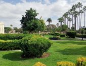 استمتع بسحر الإسكندرية شتاءً.. أجمل أماكن الفسح والمشاهد البحرية