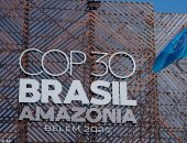 غضب بعد إزالة 100 ألف شجرة من غابات الأمازون لتسهيل حركة ضيوف قمة المناخ 